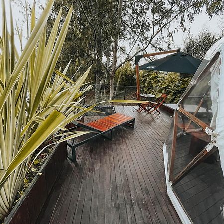Domus Glamping Guatape 호텔 외부 사진
